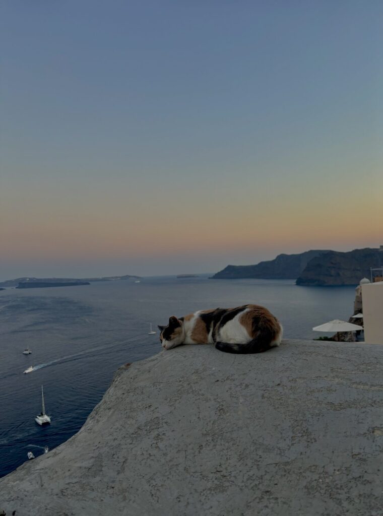 Capture d’écran 2025-11-19 à 17.40.10